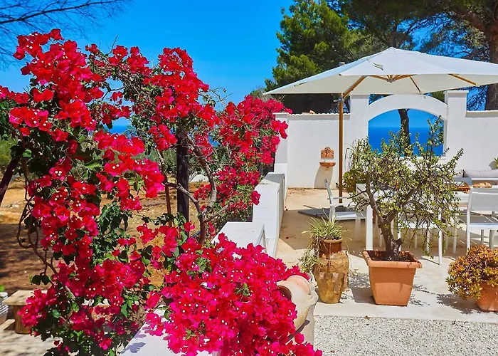 Marinjo * ألكامو