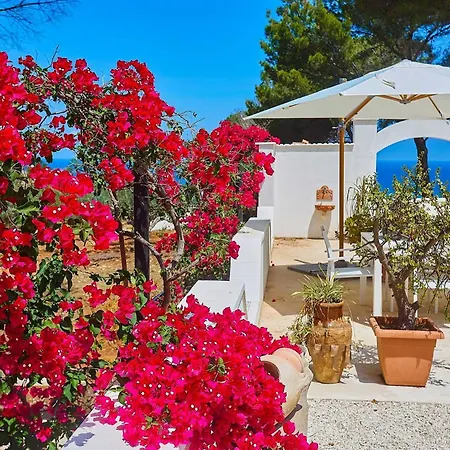 Marinjo * אלקאמו